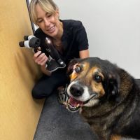 Veterinary Vision Specialists ico