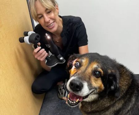 Veterinary Vision Specialists