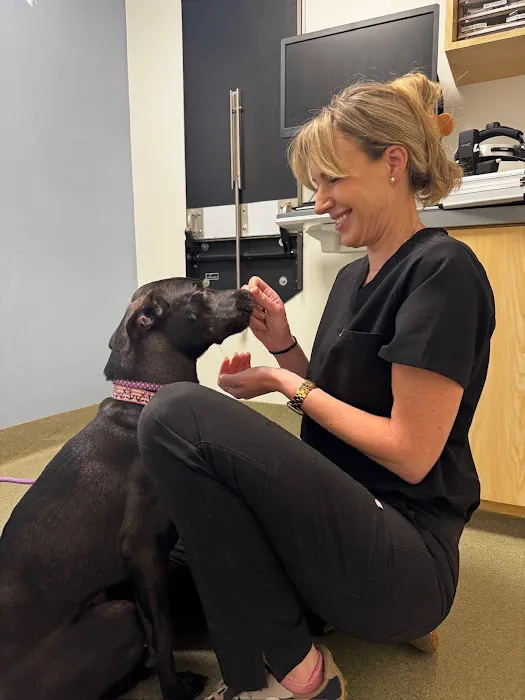 Veterinary Vision Specialists Picture 5