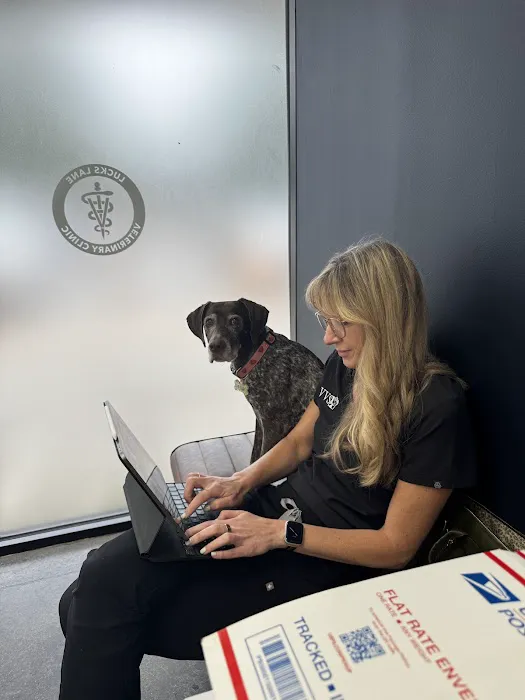 Veterinary Vision Specialists Picture 2