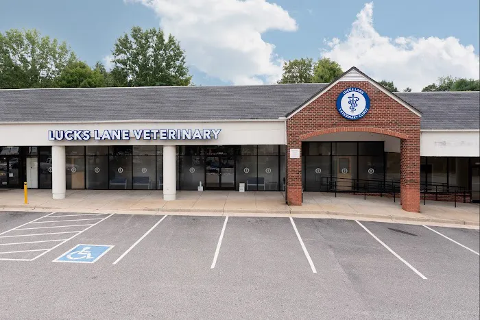 Lucks Lane Veterinary Clinic Picture 8
