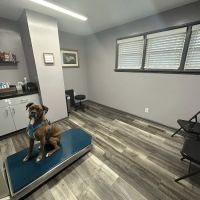 THE Grove City Veterinary Hospital ico