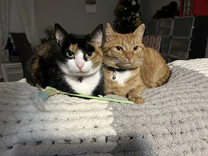 Healthy Pets of Bren-Lor Picture 1