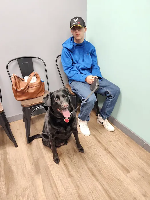 Route 50 Veterinary Care Picture 5