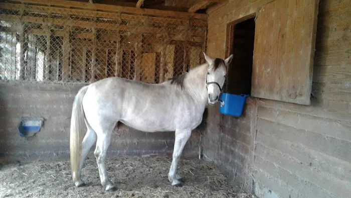 Route 50 Veterinary Care Picture 1