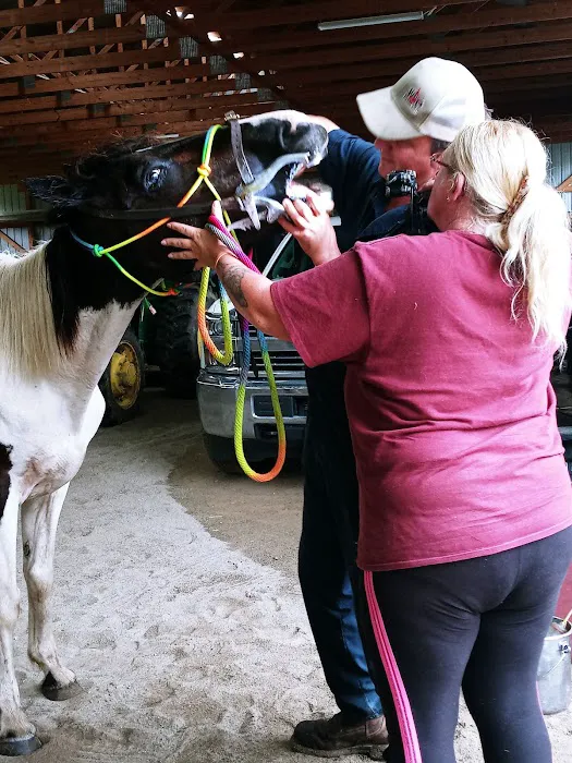 Route 50 Veterinary Care Picture 2