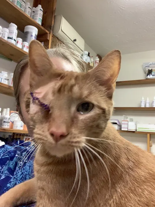 Five Points Animal Hospital Picture 9