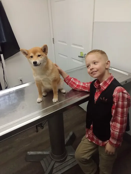 Affordable Vet Clinic Picture 1