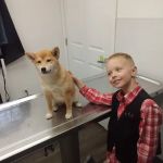 Affordable Vet Clinic