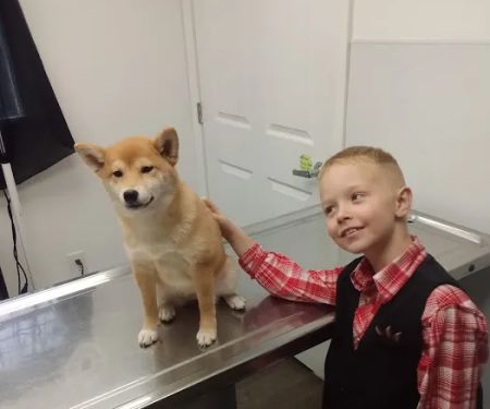 Affordable Vet Clinic