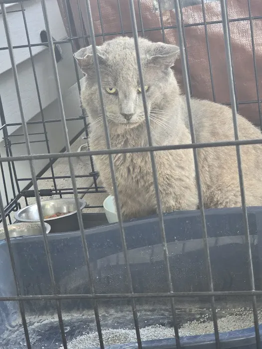 Affordable Vet Clinic Picture 8