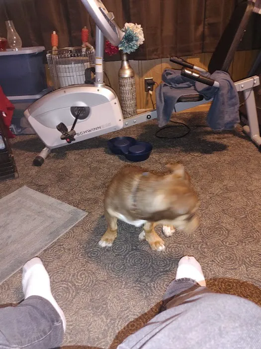 Wilmington Animal Clinic Picture 1