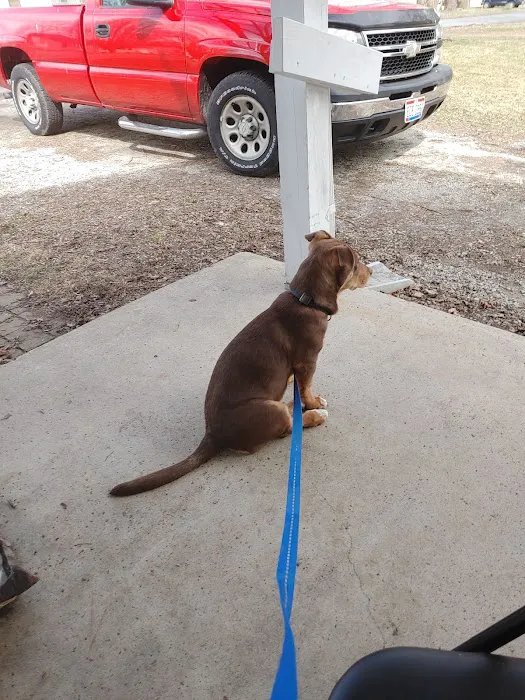 Wilmington Animal Clinic Picture 2