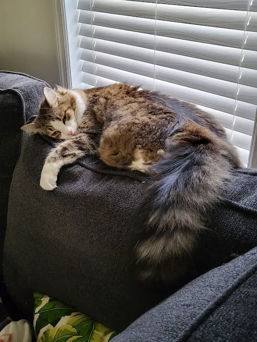 Clinton Animal Care Center Picture 4