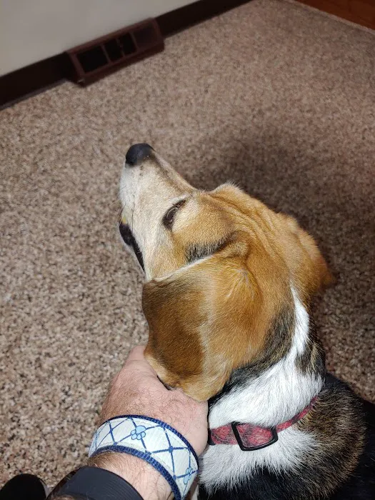Clinton Animal Care Center Picture 2