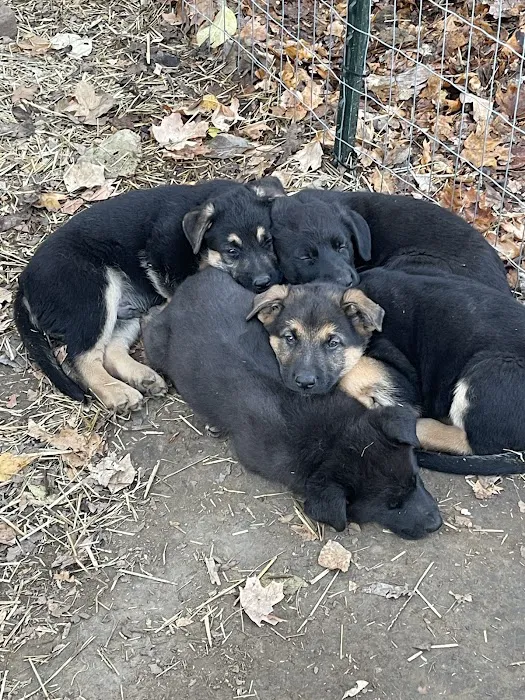 Clinton Animal Care Center Picture 9
