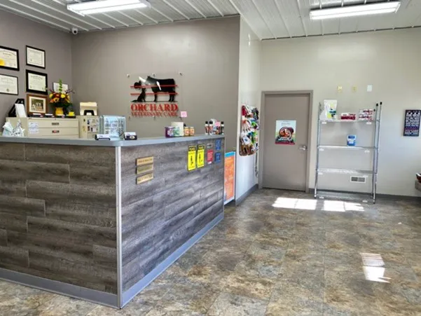 Orchard Veterinary Care Picture 6