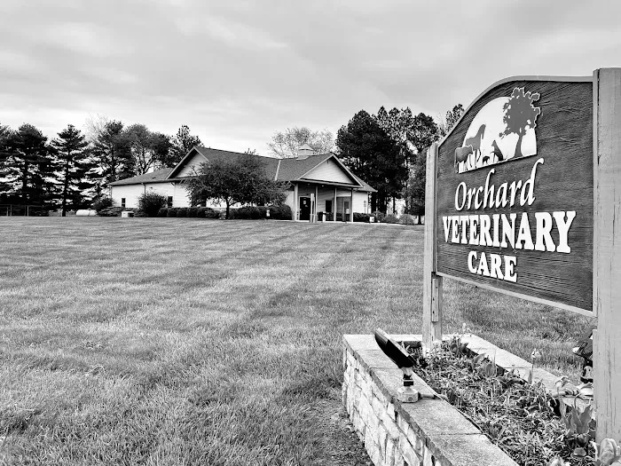 Orchard Veterinary Care Picture 9