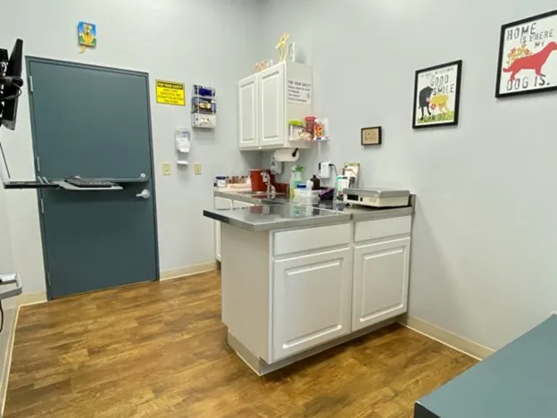 Orchard Veterinary Care Picture 2