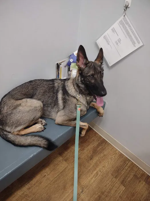 Orchard Veterinary Care Picture 4