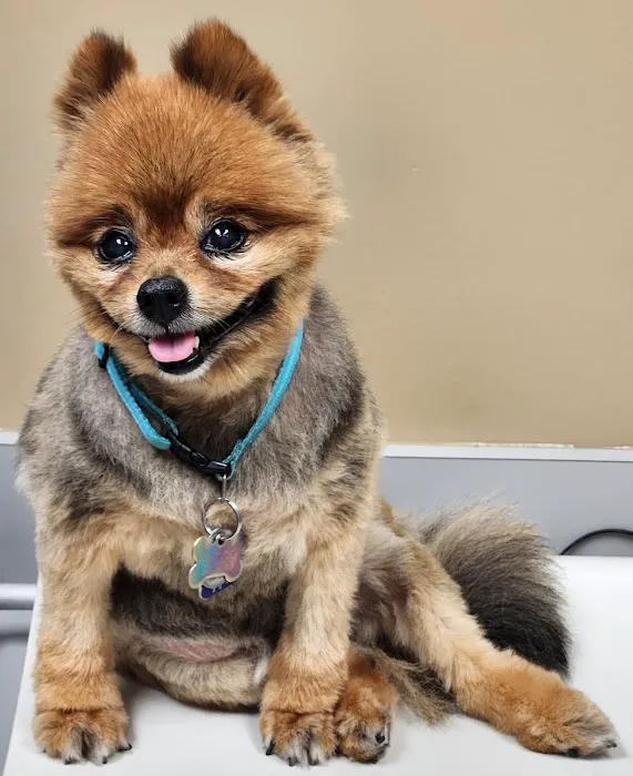 Country View Pet Hospital, LLC Picture 4