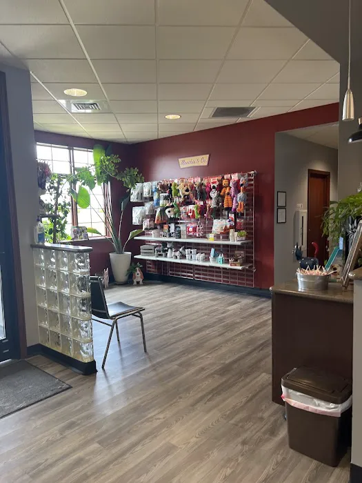 Country View Pet Hospital, LLC Picture 8
