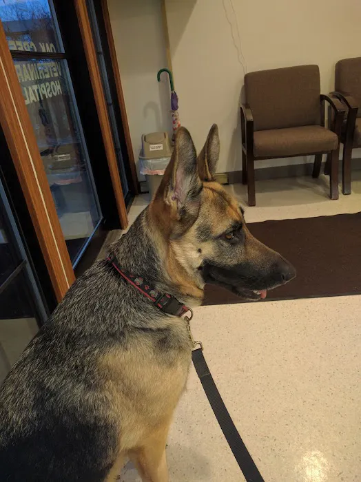 Oak Creek Veterinary Hospital Picture 2