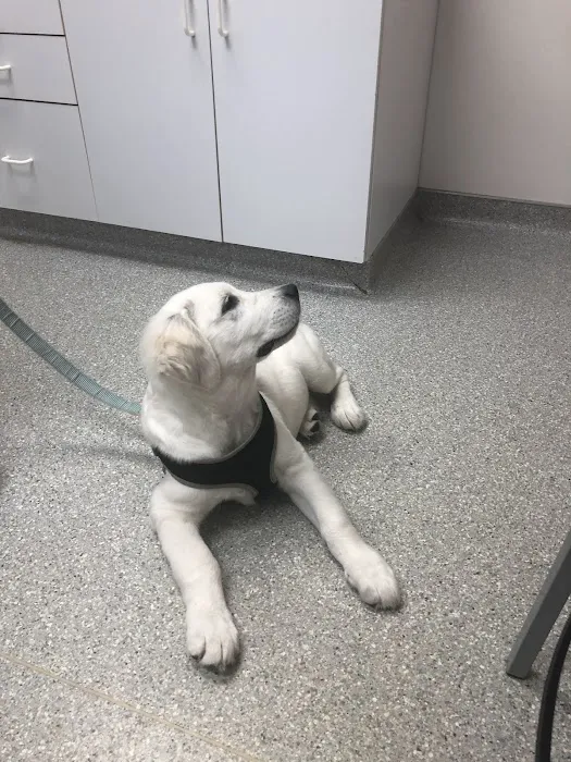 Oak Creek Veterinary Hospital Picture 6