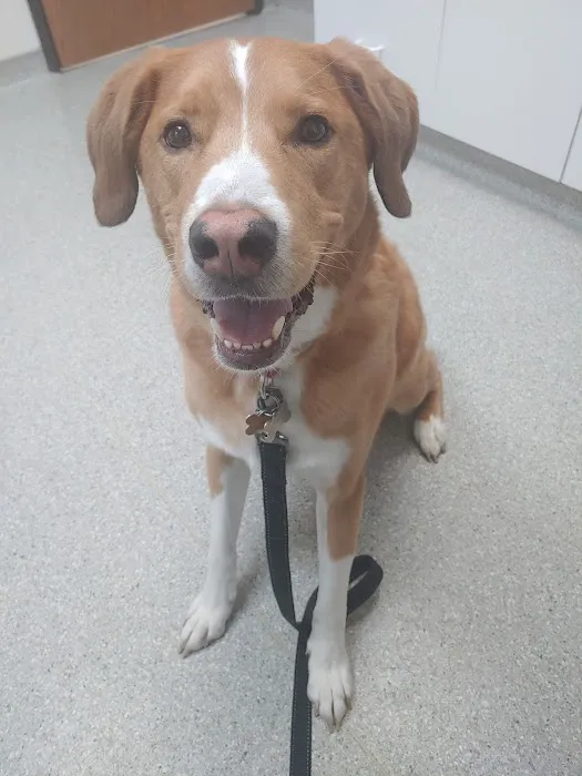 Oak Creek Veterinary Hospital Picture 7