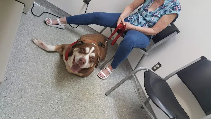 Oak Creek Veterinary Hospital Picture 5