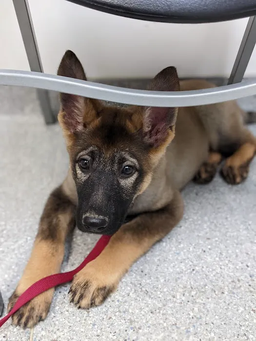 Oak Creek Veterinary Hospital Picture 1