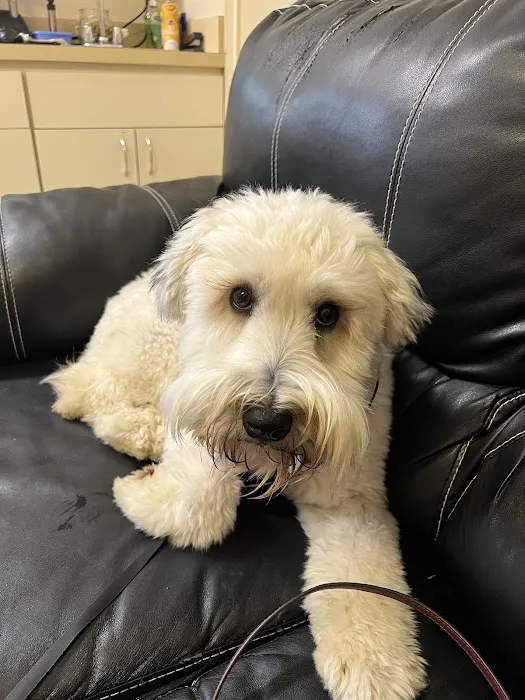 Mann Vet Clinic Picture 7