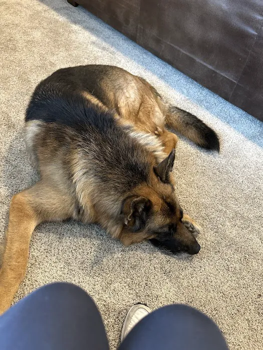 Mann Vet Clinic Picture 6