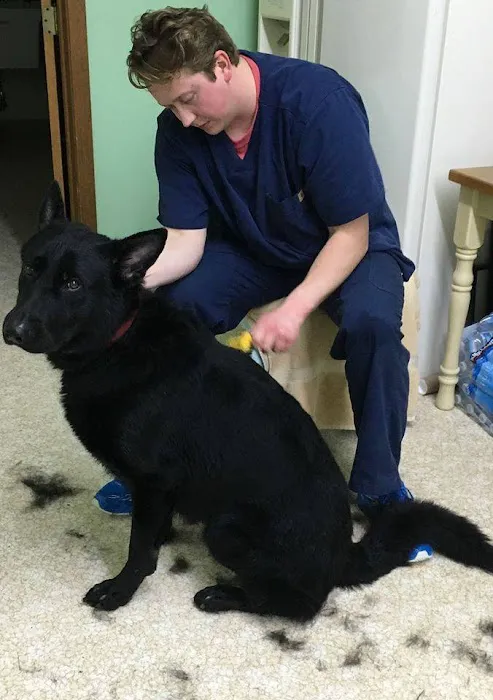 Pet Health Plus Veterinary Hospital Picture 2