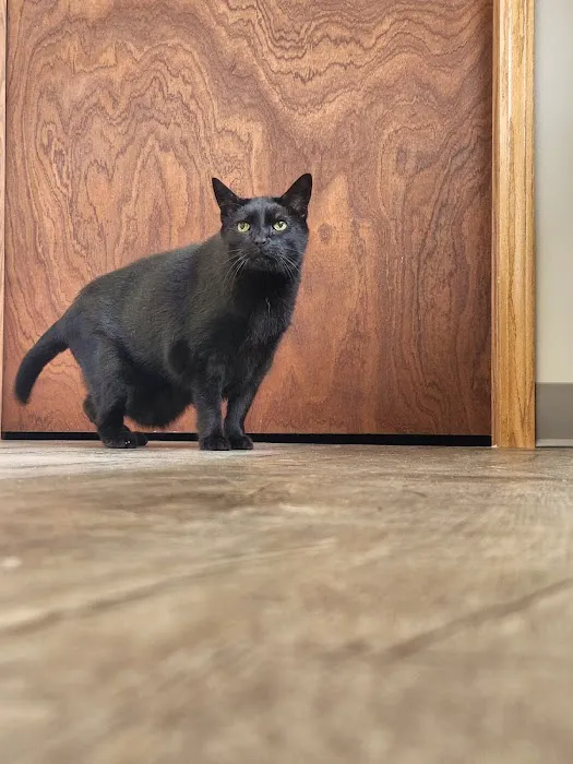 Pet Health Plus Veterinary Hospital Picture 8