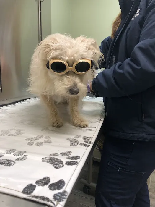 Pet Health Plus Veterinary Hospital Picture 1