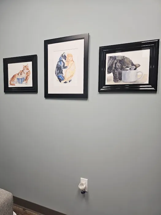 Cats Only Veterinary Clinic of Lewis Center Picture 10
