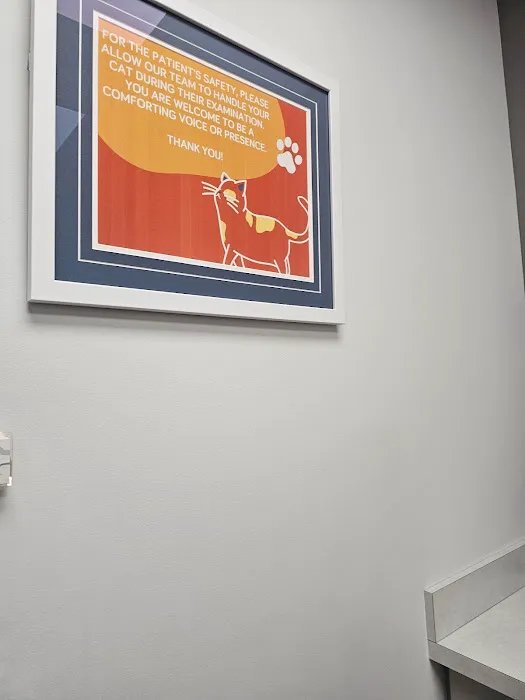 Cats Only Veterinary Clinic of Lewis Center Picture 9