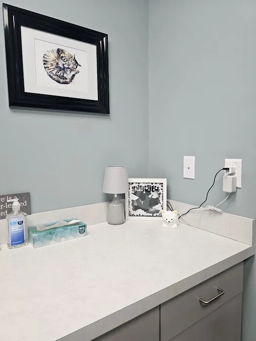 Cats Only Veterinary Clinic of Lewis Center Picture 6