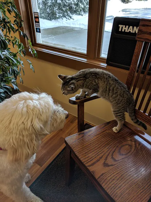 Cheshire Crossing Animal Hospital Picture 7