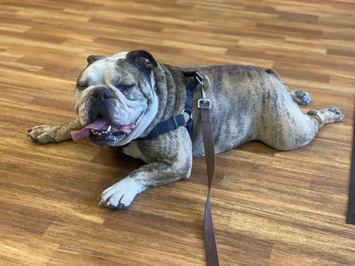 Cheshire Crossing Animal Hospital Picture 1