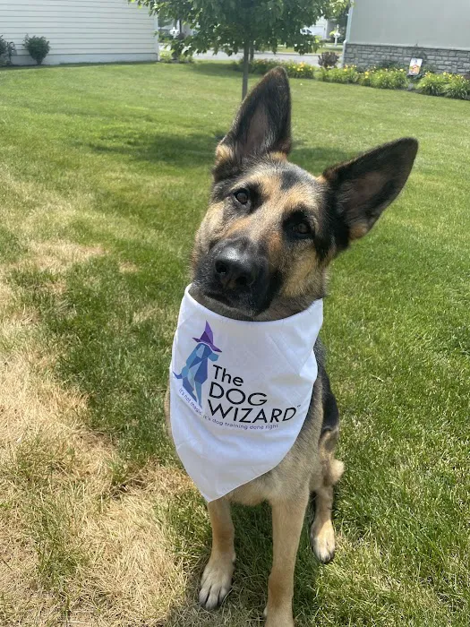Lifetime Pet Wellness Center Picture 2