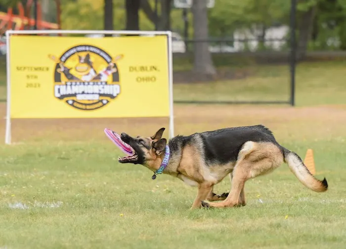 Lifetime Pet Wellness Center Picture 1