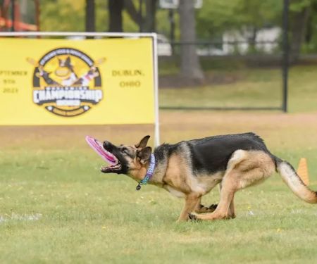 Lifetime Pet Wellness Center