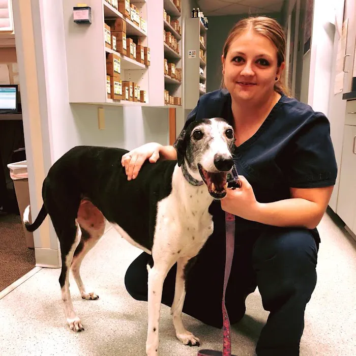 Lifetime Pet Wellness Center Picture 10