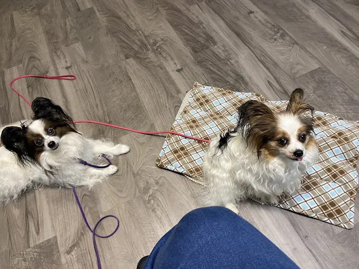 Lifetime Pet Wellness Center Picture 9