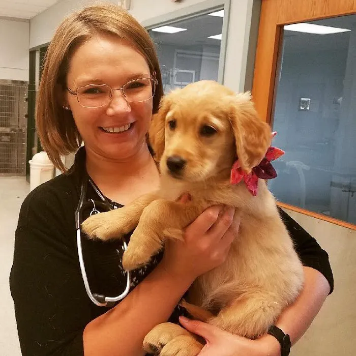 Lifetime Pet Wellness Center Picture 5