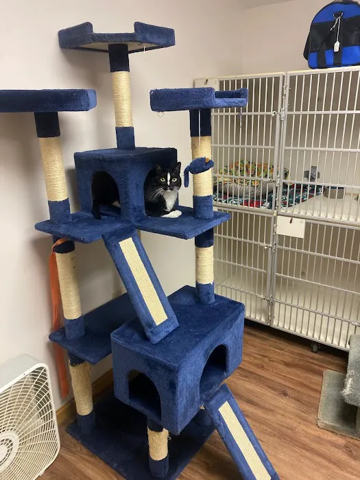 Worthington Woods Animal Care Center Picture 5
