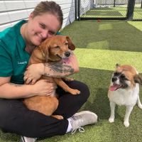 Worthington Woods Animal Care Center ico