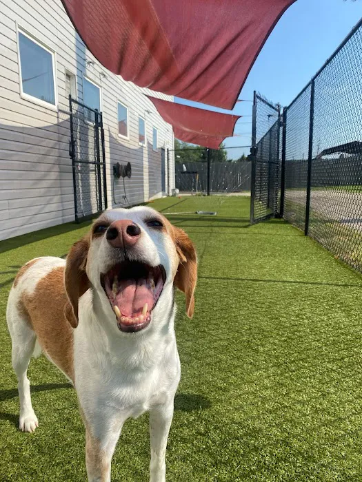 Worthington Woods Animal Care Center Picture 7